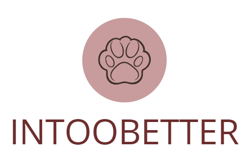 Intoobetter